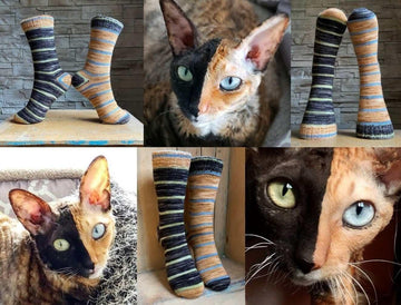 Stella The Two Face cat Free Sock Pattern