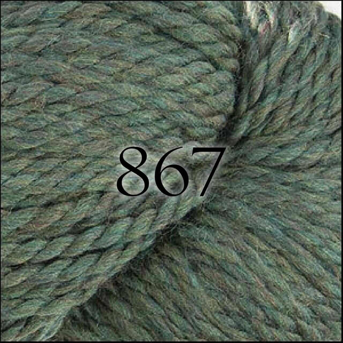 Cascade Yarns 128 Superwash - Color: 867 - Lichen